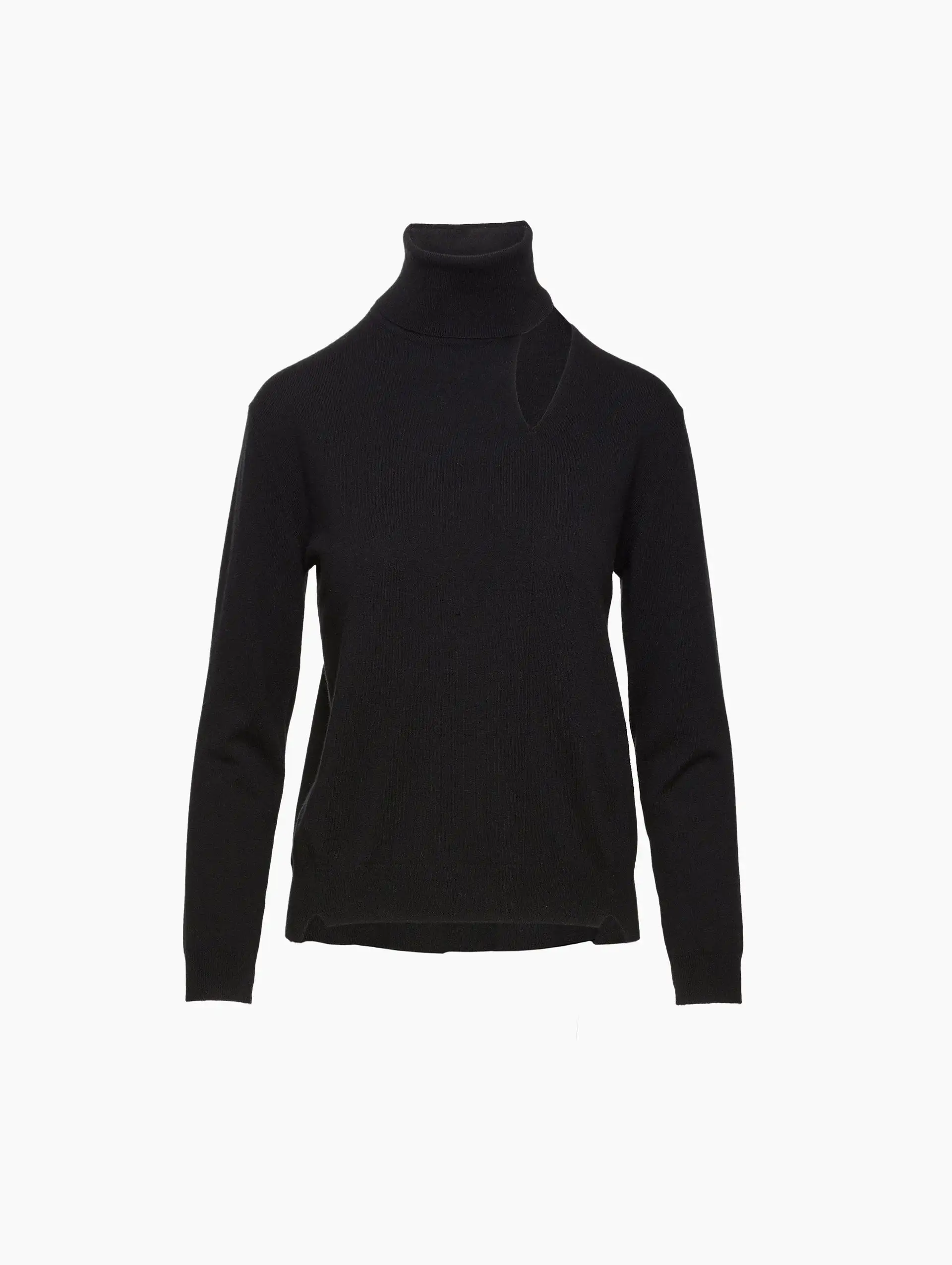 Oyster Turtleneck Top